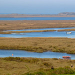 Whiteorse View with boaters ideal for birdwatching, birdwatchers, birding, birders