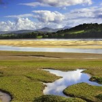 waterside marshes ideal for birdwatching, birdwatchers, birding, birders